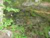 forestserviceroad002_small.jpg
