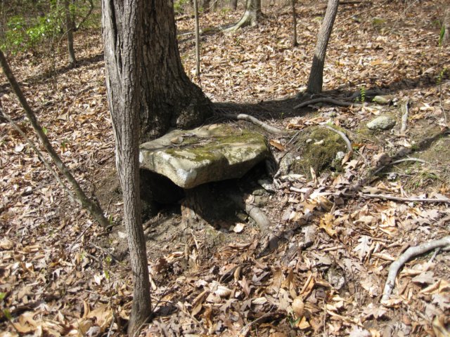 img_0046.jpg