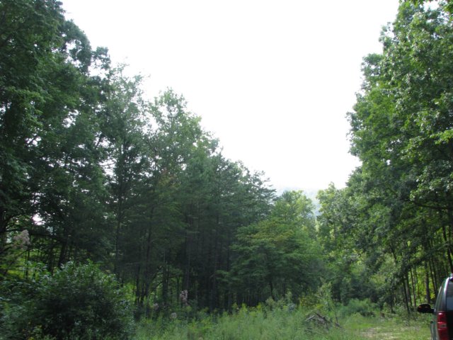 img_1546.jpg