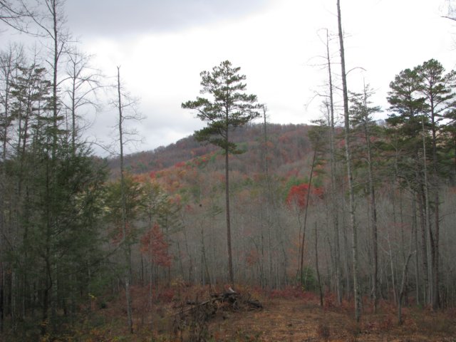 img_1640.jpg