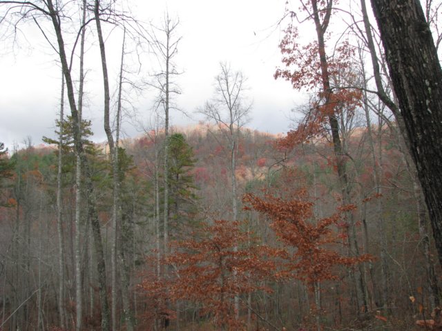 img_1641.jpg