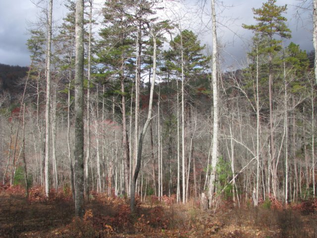 img_1643.jpg