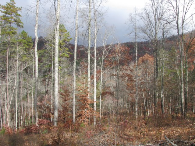 img_1645.jpg