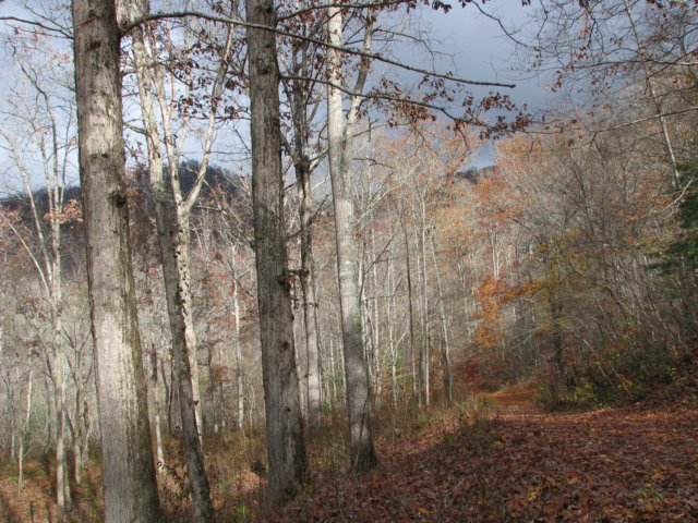 img_1653.jpg