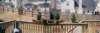 backyard1_small.jpg