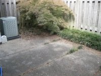 IMG 0427