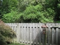 IMG 0428
