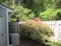 IMG 0429