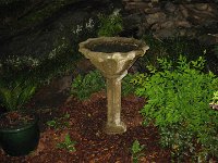 IMG 1170