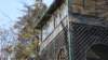 pinecrestbedandbreakfastashevillenc14_small.jpg