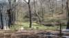 pinecrestbedandbreakfastashevillenc2_small.jpg