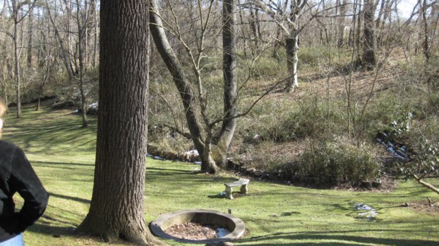 pinecrestbedandbreakfastashevillenc6.jpg