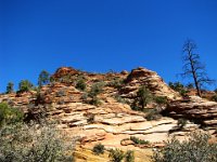 IMG 3244  Zion National Park 8