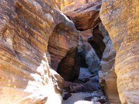 IMG 3274  Zion National Park 10