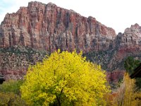 IMG 3622a  Zion National Park 4