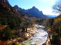 IMG 3624  Zion National Park 11