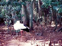 scan0010